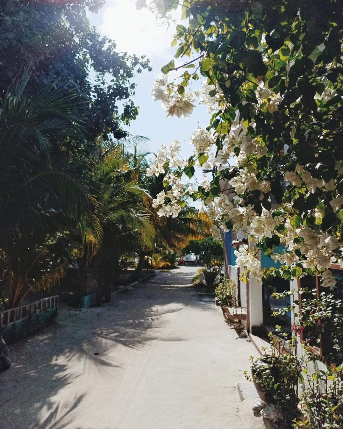 Kudhi Boli Beach House Thulusdhoo Exteriér fotografie
