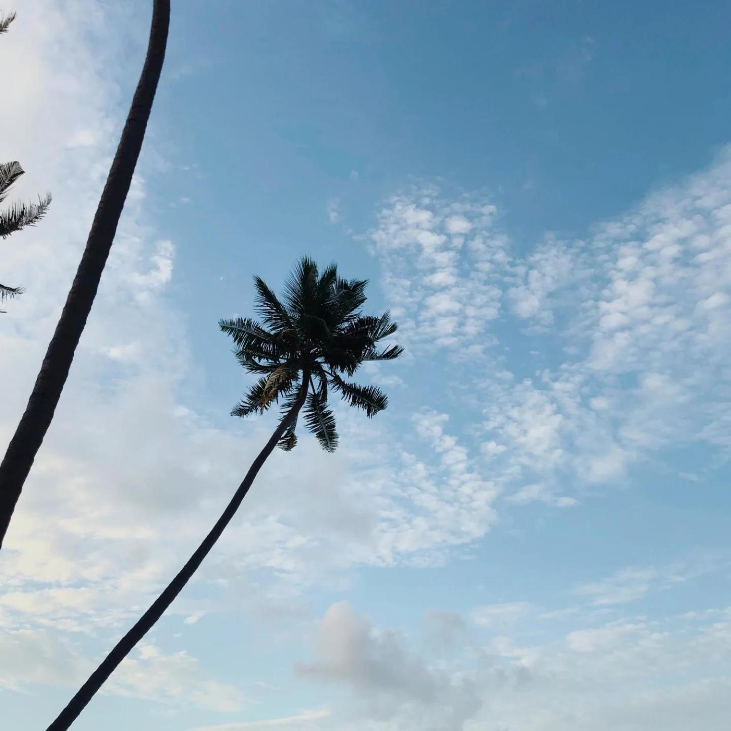 Kudhi Boli Beach House Thulusdhoo Exteriér fotografie