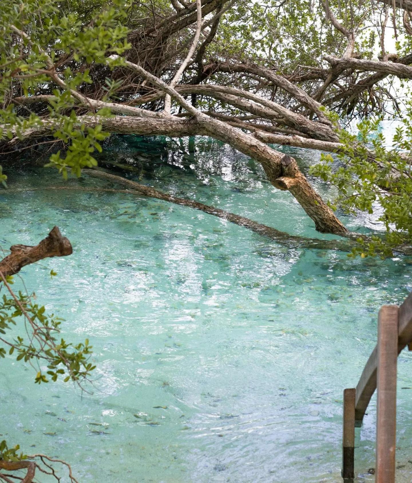 Kudhi Boli Beach House Thulusdhoo Exteriér fotografie
